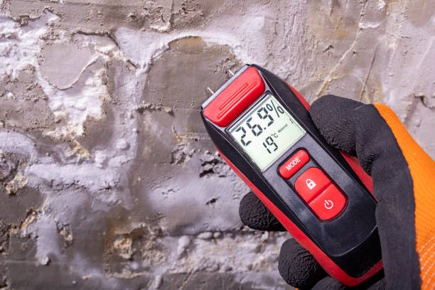Best Same-Day Mold Removal  in Peach Lake, NY