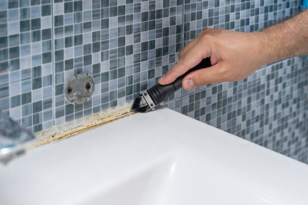 Best Toxic Mold Removal  in Peach Lake, NY